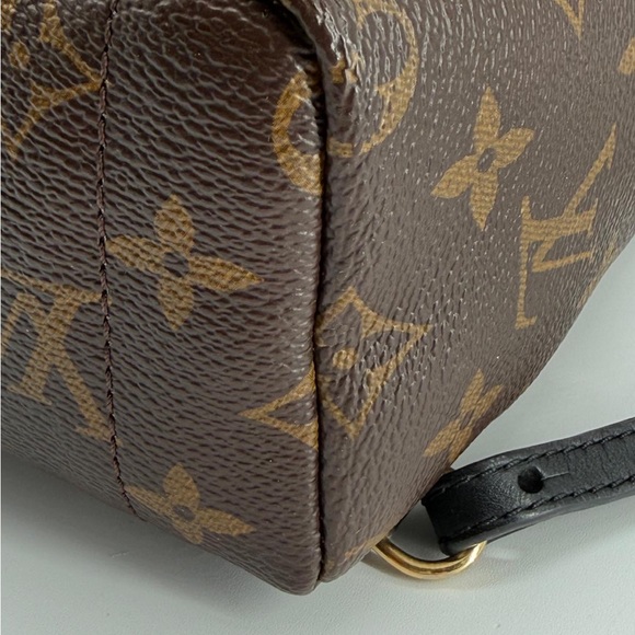 Louis Vuitton Palm Springs Backpack Mini Brown Canvas main image 4